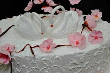 Similar image 1886603