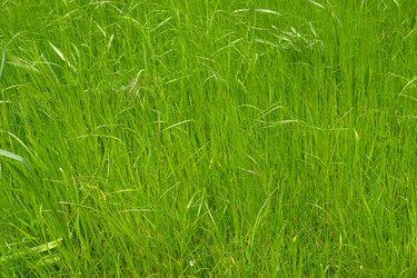 Similar image 1887389