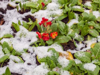 Similar image 1887584