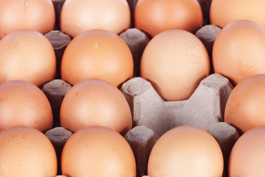 Similar image 1888582