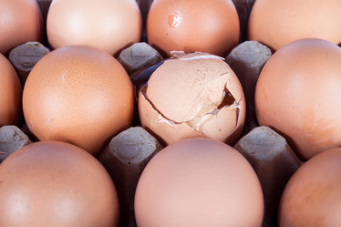 Similar image 1888652