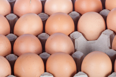 Similar image 1888657