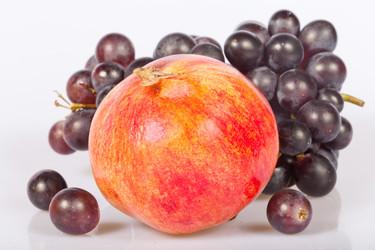 Similar image 1888890