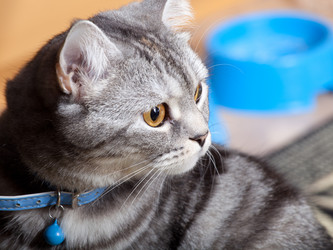 Similar image 1888897