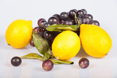 Similar image 1888993