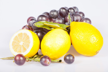 Similar image 1889005