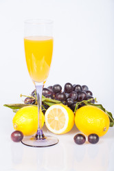 Similar image 1889016