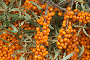 Similar image 1889288