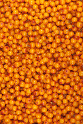 Similar image 1889290