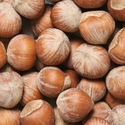 Similar image 1889295