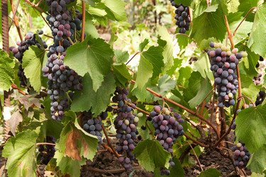 Similar image 1889298