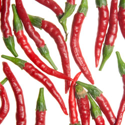 Similar image 1889300