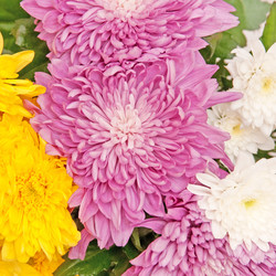 Similar image 1889303