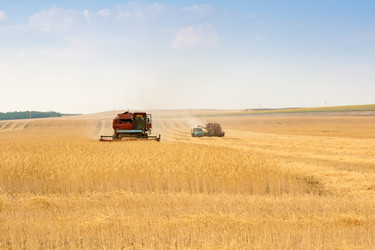 Similar image 1889329