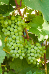 Similar image 1889332