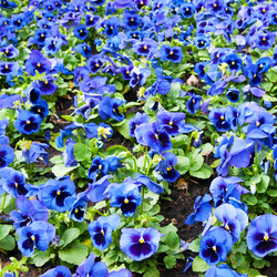 Similar image 1889438