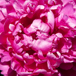 Similar image 1889439