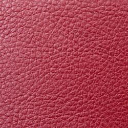 Similar image 1889446