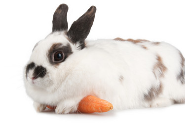 Similar image 1889447