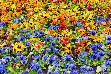 Similar image 1889448