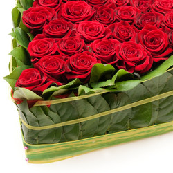 Similar image 1889455