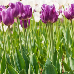 Similar image 1889456