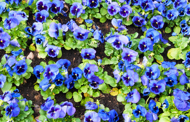 Similar image 1889459