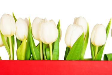 Similar image 1889491