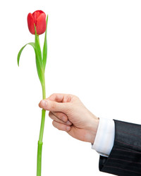 Similar image 1889495