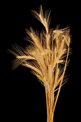 Similar image 1889498