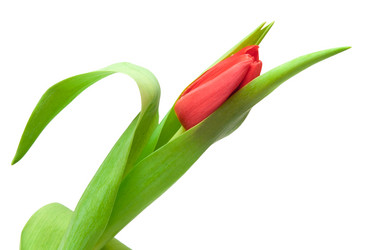 Similar image 1889504