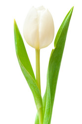 Similar image 1889511