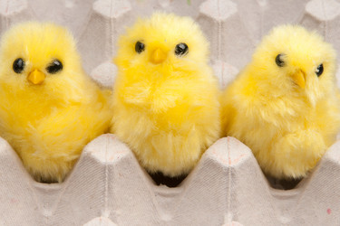 Similar image 1889513