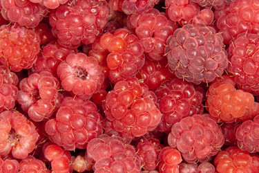 Similar image 1889585