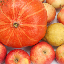 Similar image 1889590