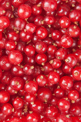 Similar image 1889595