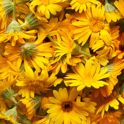 Similar image 1889598