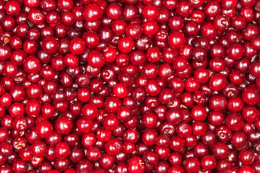 Similar image 1889601