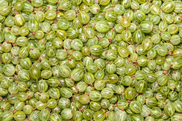 Similar image 1889603