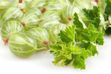 Similar image 1889606