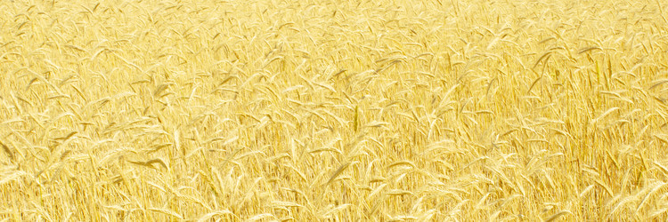 Similar image 1889607