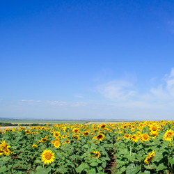 Similar image 1889608