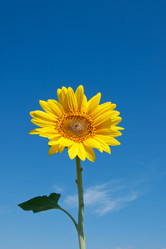 Similar image 1889609