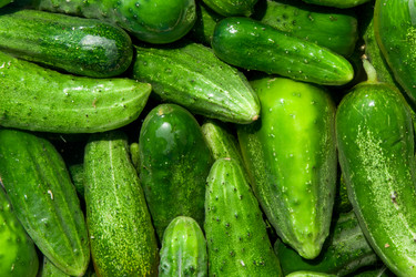 Similar image 1889698