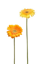 Similar image 1889703