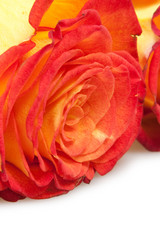 Similar image 1889720