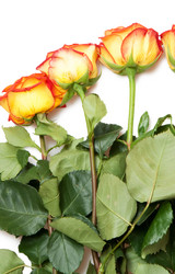 Similar image 1889722