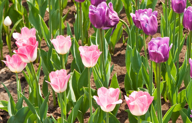 Similar image 1890281