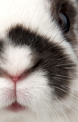 Similar image 1890333