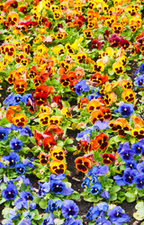 Similar image 1890339